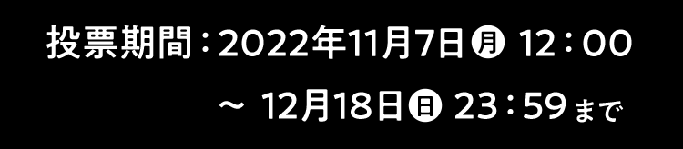 投票期間
