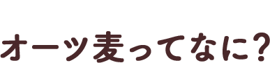 オーツ麦ってなに？