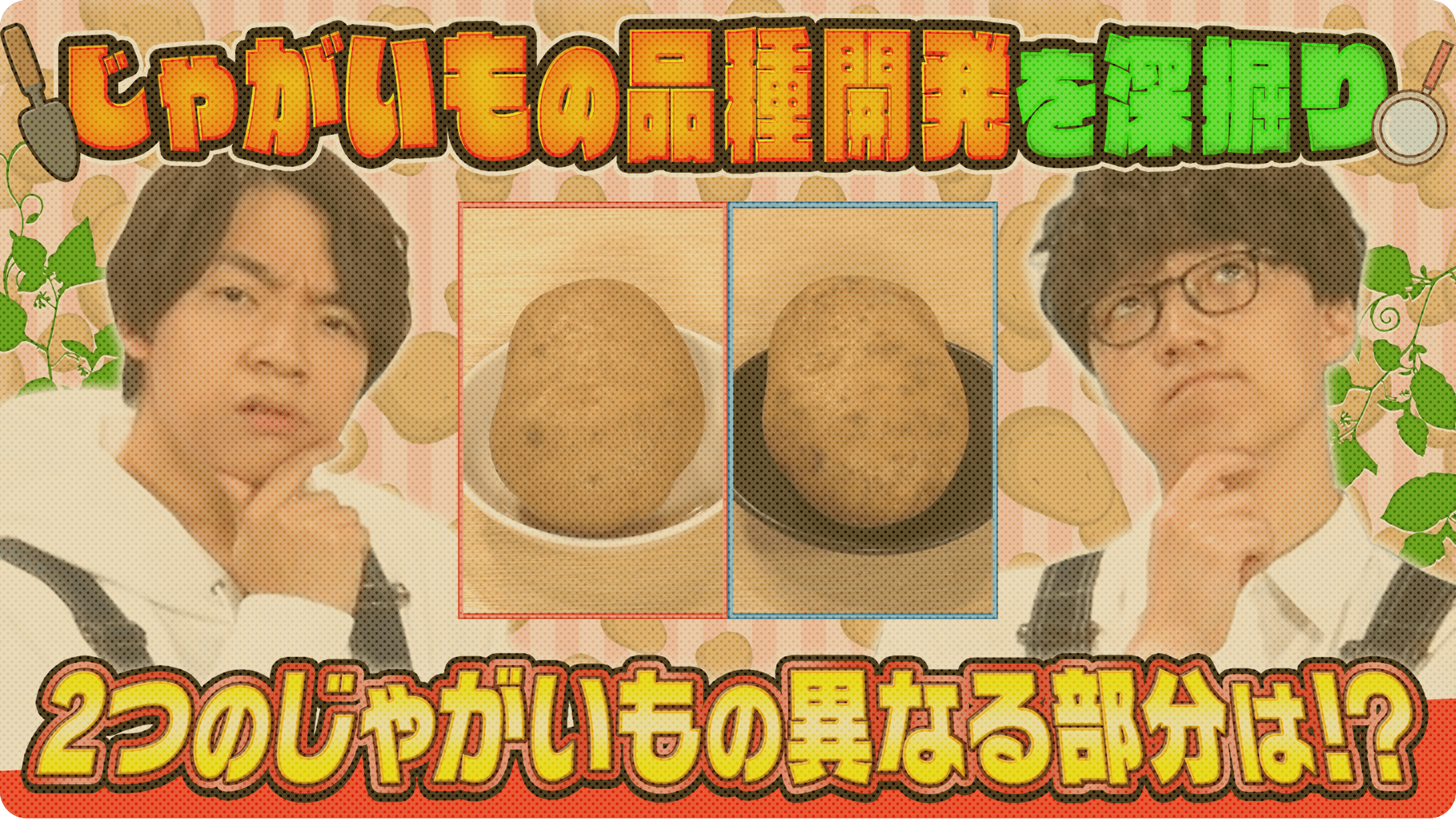 動画サムネイル