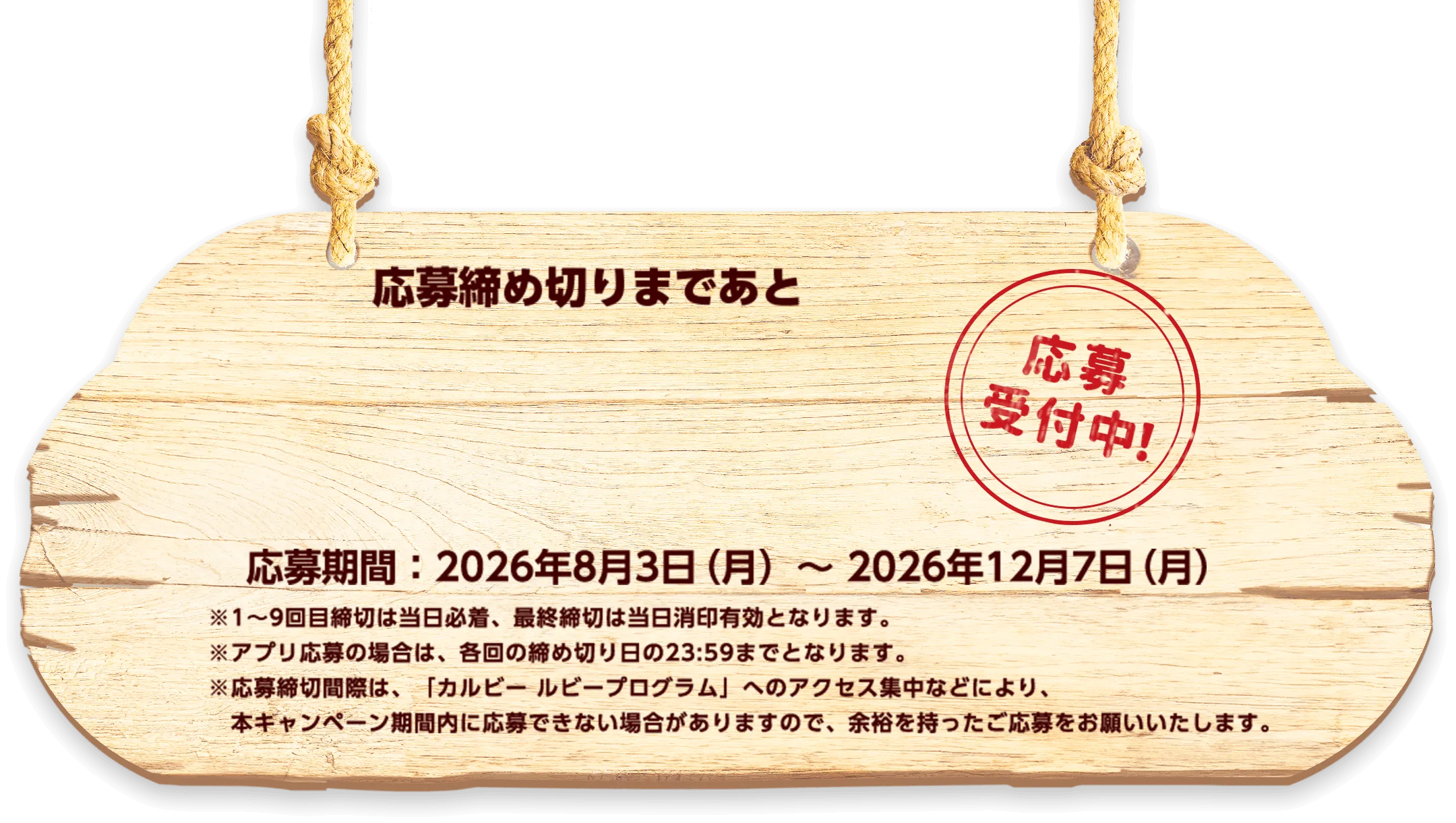 応募期間：2026年8月3日（月曜日）〜 2026年12月7日（月曜日）※1～9回目締切は当日必着、最終締切は当日消印有効となります。※アプリ応募の場合は、各回の締め切り日の23:59までとなります。※応募締切間際は、「カルビー ルビープログラム」へのアクセス集中などにより、本キャンペーン期間内に応募できない場合がありますので、余裕を持ったご応募をお願いいたします。