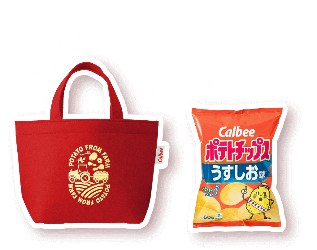 理想的なサイズ感！