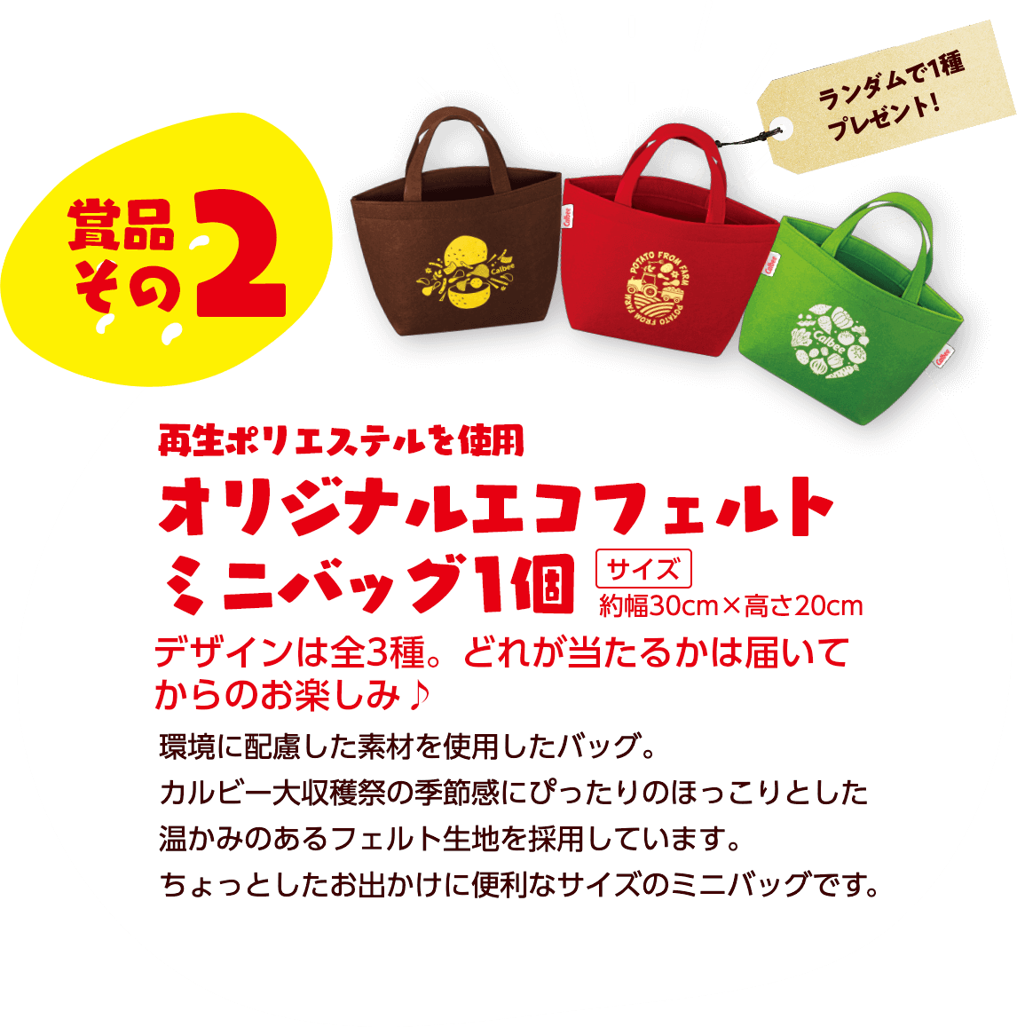 景品その2　バンブーファイバー配合オリジナルプレート1枚　環境に配慮した素材を使用したプレート。ポテトチップスやじゃがりこ、サッポロポテトなどのカルビー商品やじゃがいものシルエットがあしらわれ、使うたびに楽しくなるようなデザインに仕上げました。