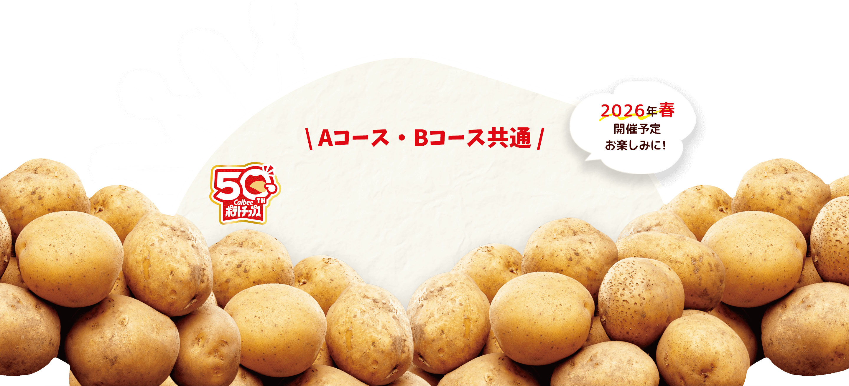 Aコース・Bコース共通 2026年春開催予定！お楽しみに！