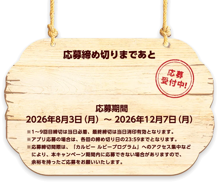 応募期間：2026年8月3日（月曜日）〜 2026年12月7日（月曜日）※1～9回目締切は当日必着、最終締切は当日消印有効となります。※アプリ応募の場合は、各回の締め切り日の23:59までとなります。※応募締切間際は、「カルビー ルビープログラム」へのアクセス集中などにより、本キャンペーン期間内に応募できない場合がありますので、余裕を持ったご応募をお願いいたします。