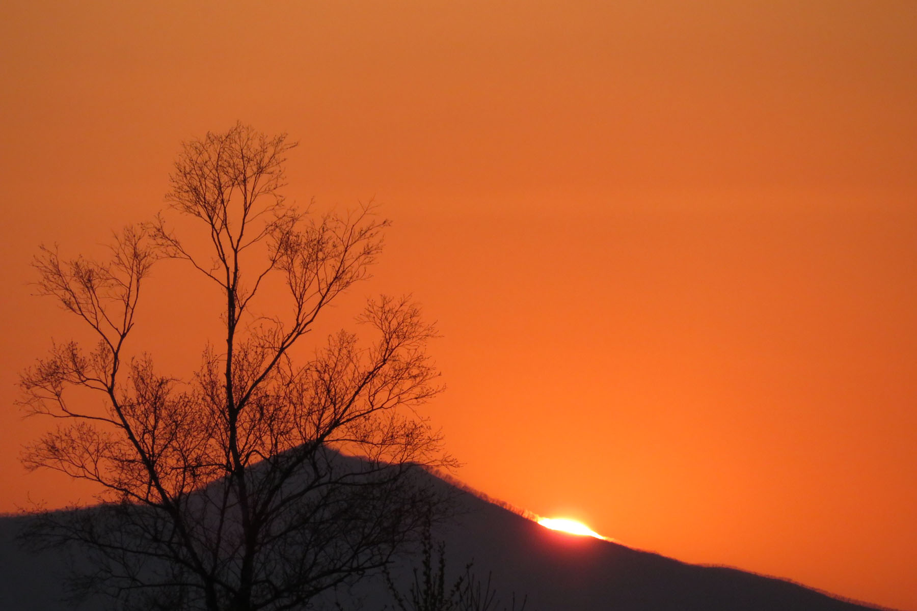 今日の空フォト ～帯広のオレンジ色の夕日～｜じゃがいもDiary｜カルビー