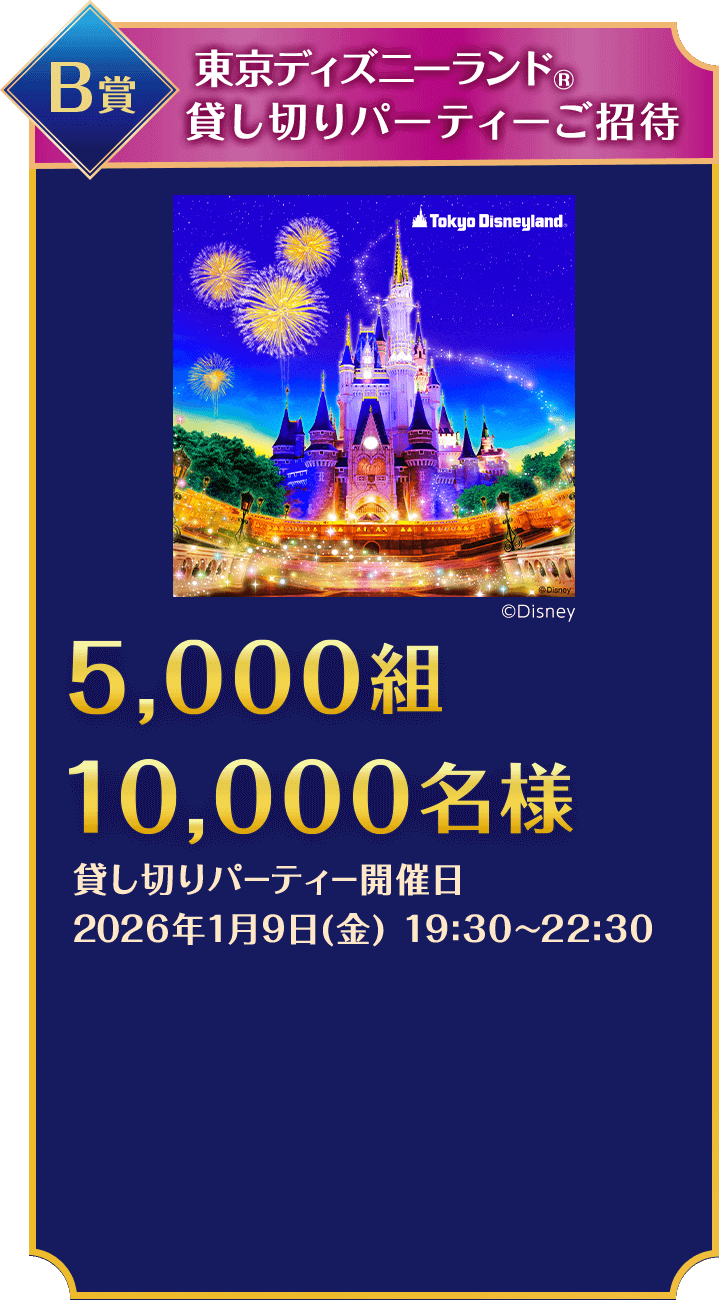 B賞/東京ディズニーリゾート®️ご招待/東京ディズニーリゾート®️パークチケット(ペア)/100組200名様