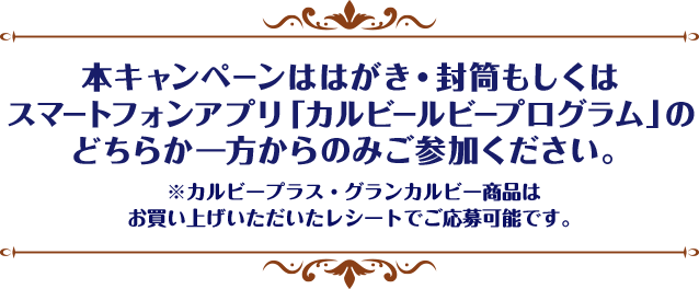 本キャンペーンははがき・封筒もしくはスマートフォンアプリ「カルビールビープログラム」のどちらか一方からのみご参加ください。※カルビープラス・グランカルビー商品はお買い上げいただいたレシートでご応募可能です。