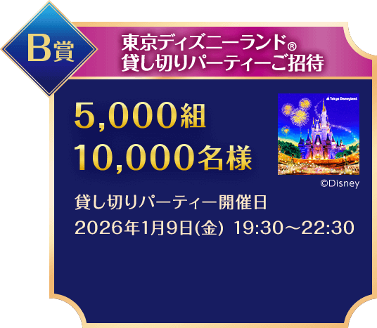 B賞/東京ディズニーリゾート®️ご招待/東京ディズニーリゾート®️パークチケット(ペア)/100組200名様