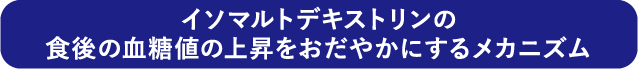 イソマルトデキストリンの食後の血糖値の上昇をおだやかにするメカニズム