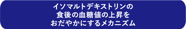 イソマルトデキストリンの食後の血糖値の上昇をおだやかにするメカニズム