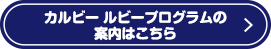 カルビールビープログラムの案内はこちら