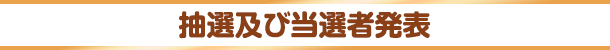 抽選及び当選者発表