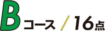Bコース/16点