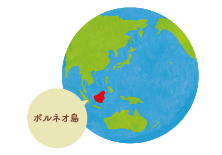 ボルネオ島