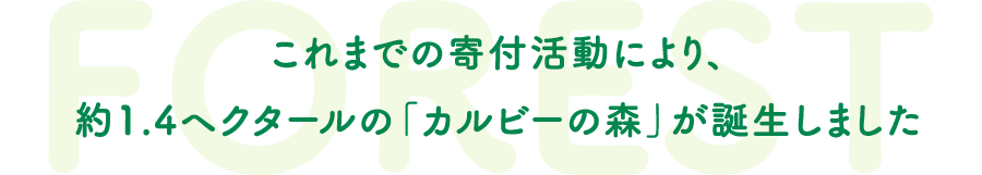 Jagabeeでは、環境に配慮した素材をパッケージに使用しています。