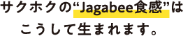 サクホクのJagabee食感はこうして生まれます。