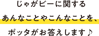 じゃがビーに関するあんなことやこんなことを、ポッタがお答えします♪