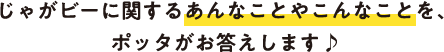 じゃがビーに関するあんなことやこんなことを、ポッタがお答えします♪