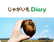 じゃがいもDiary