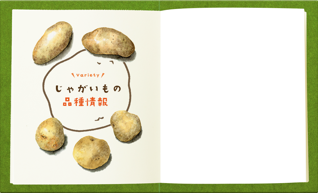 じゃがいも　プロフィール読んで下さいさん専用 じゃがいも丸ごと！プロフィール｜カルビー