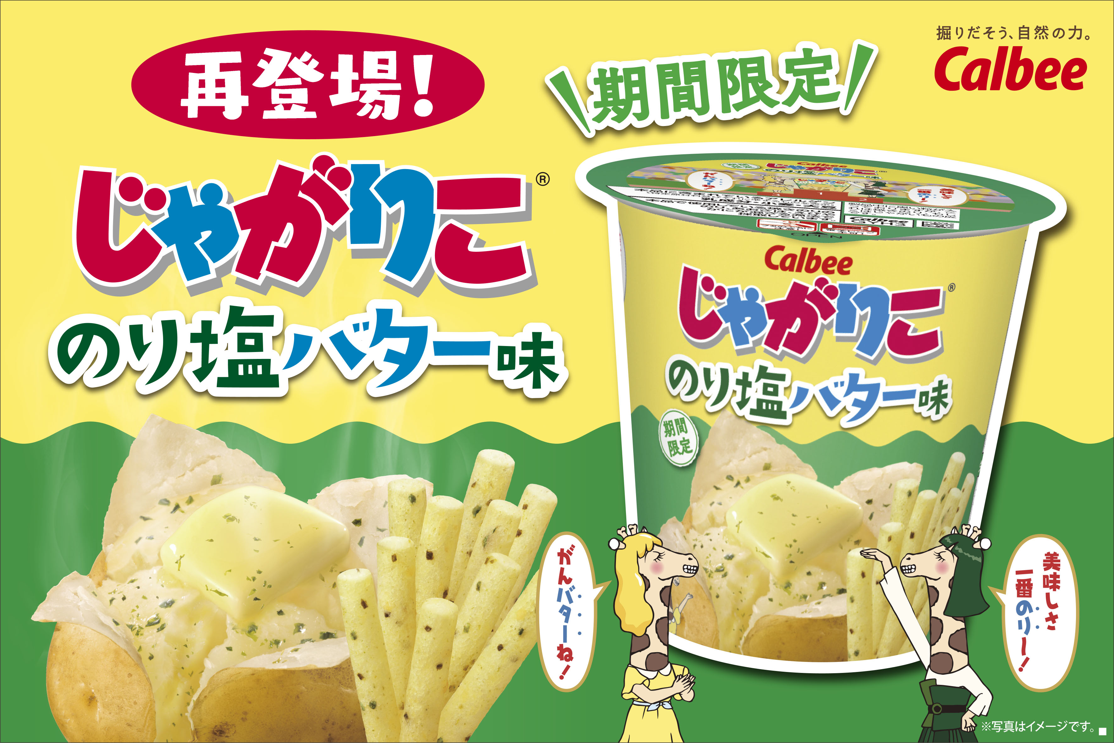 じゃがりこのり塩バター味 再発売！｜じゃがりこ公式WEBサイト 