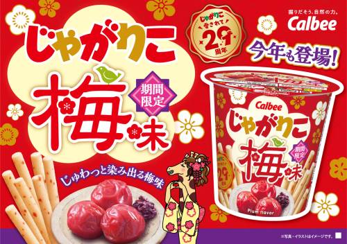 お待たせしました！今年も梅味発売します！