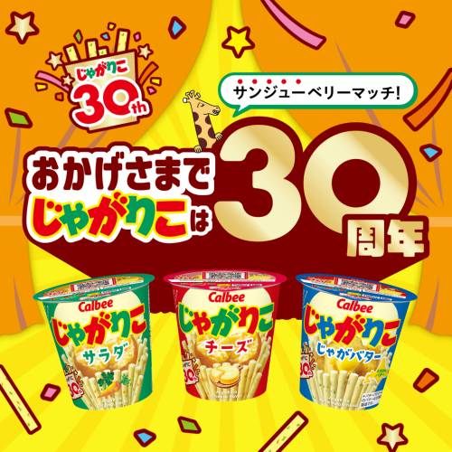 30周年記念サイトオープン！