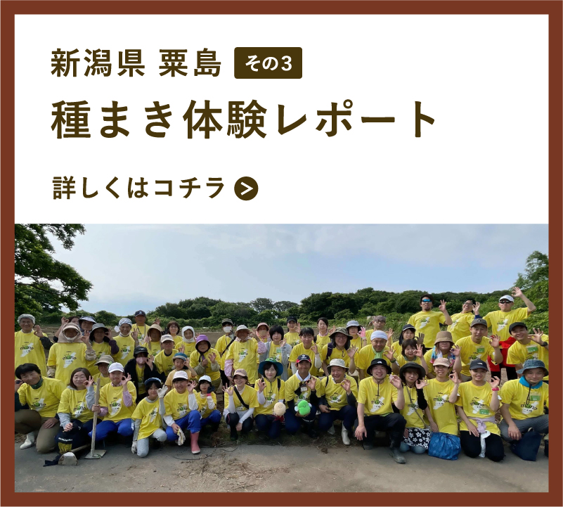 粟島 種まき体験レポート