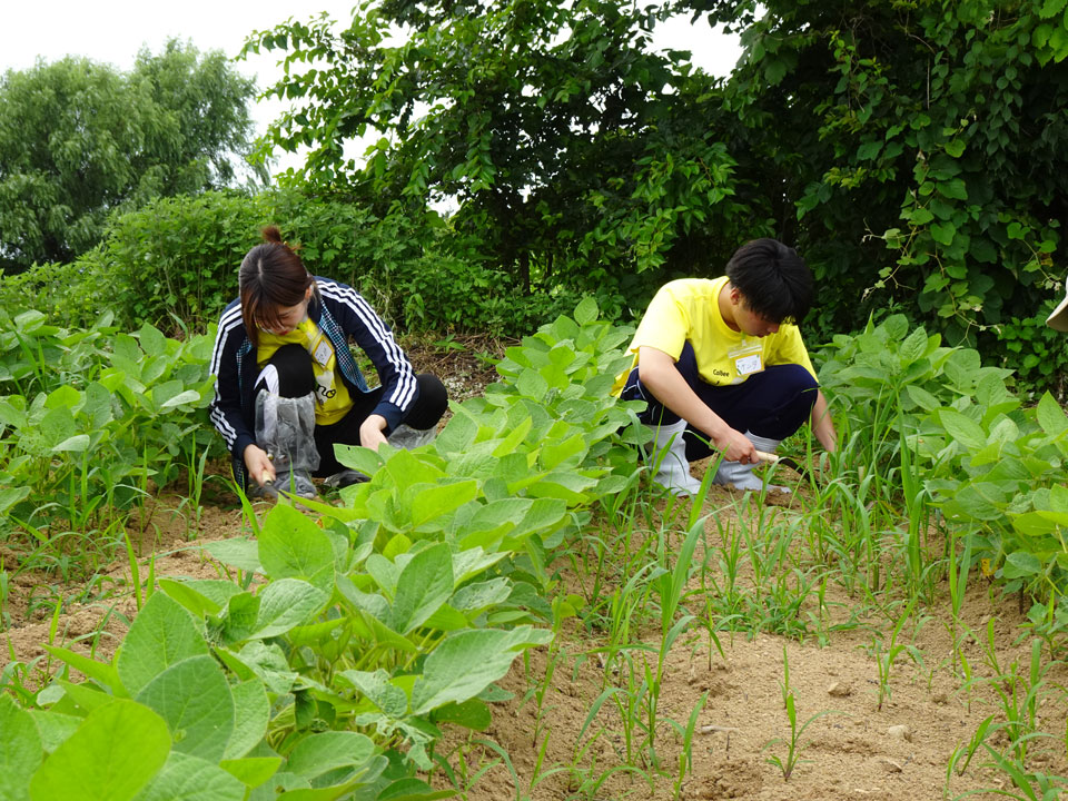 種まき3