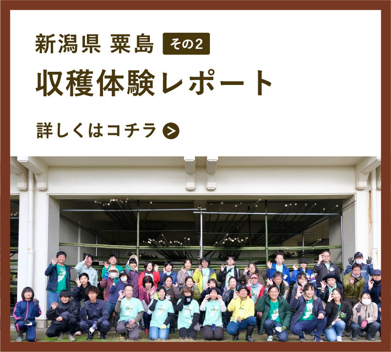 粟島収穫体験レポート