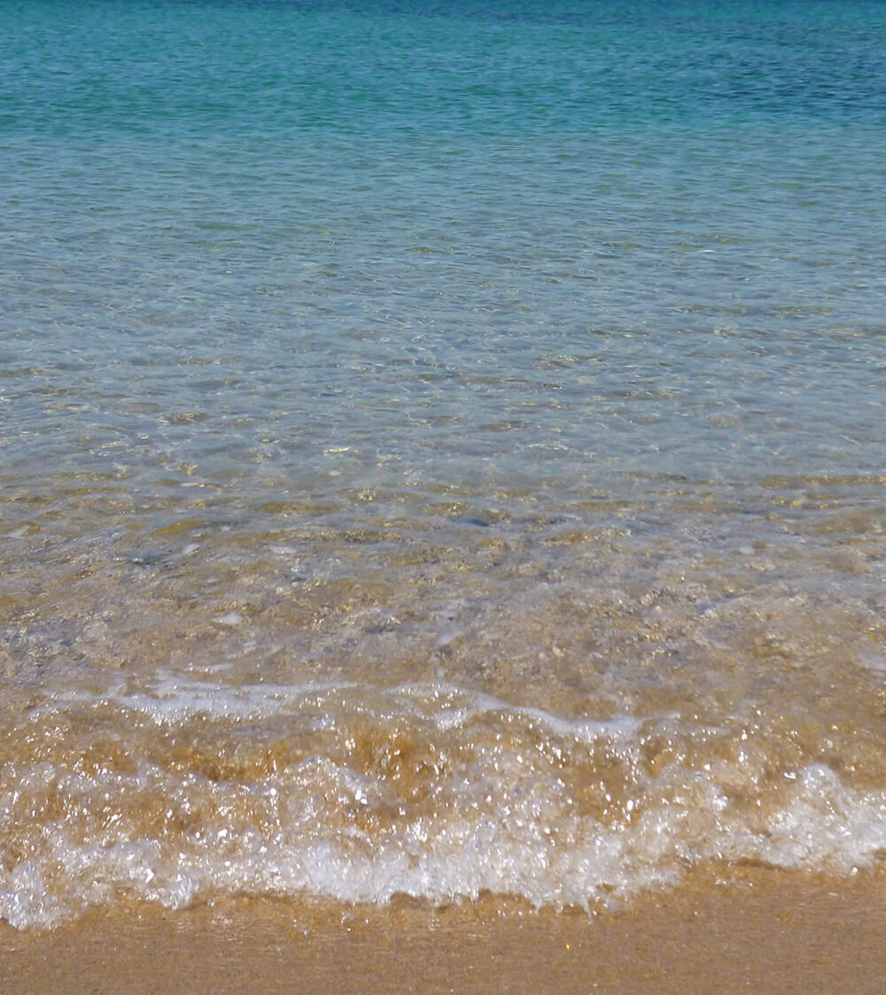 海