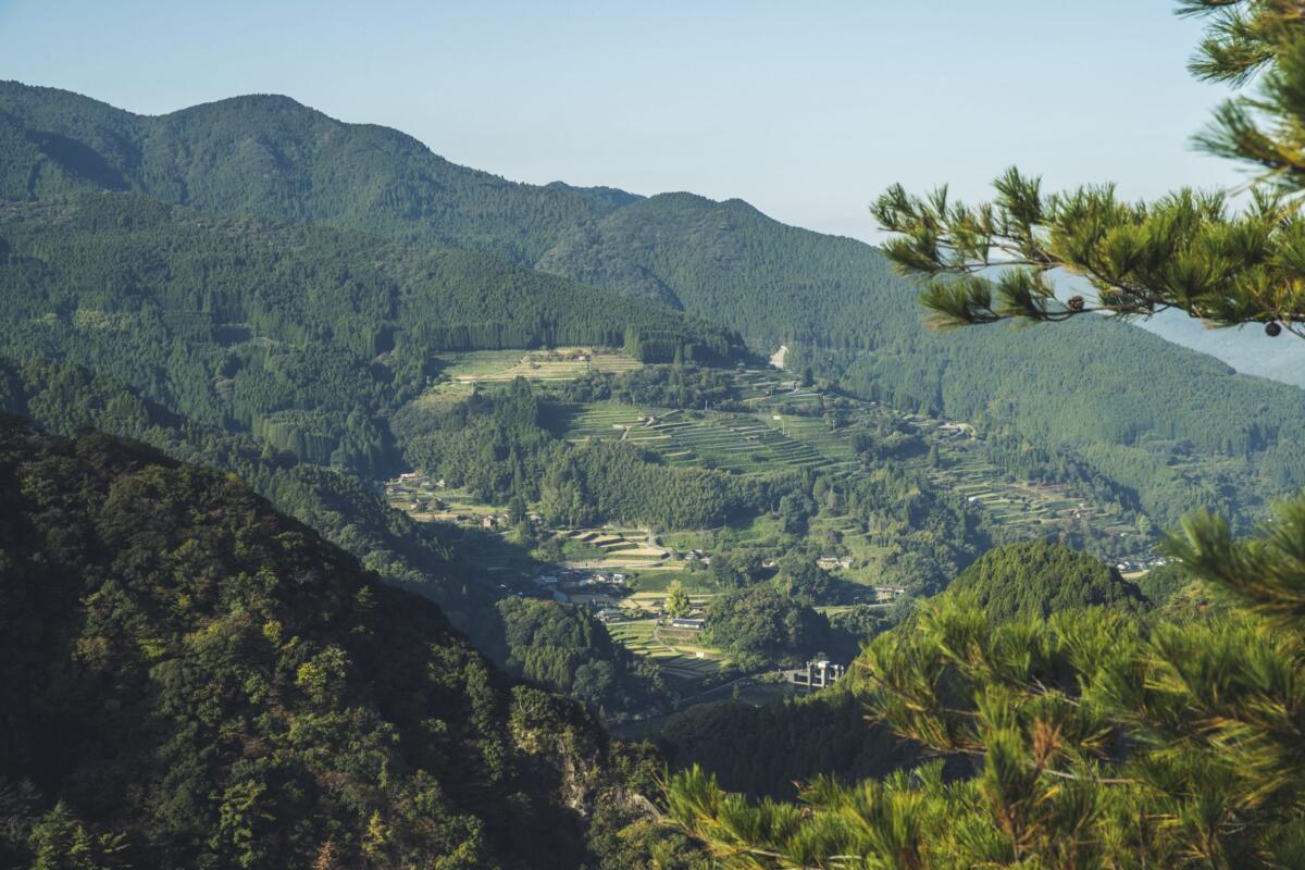 山