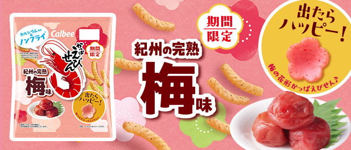 かっぱえびせん紀州の完熟梅味