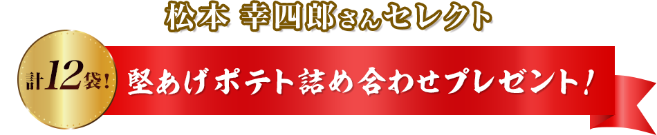 松本幸四郎さんセレクト計12袋！堅あげポテト詰め合わせプレゼント！