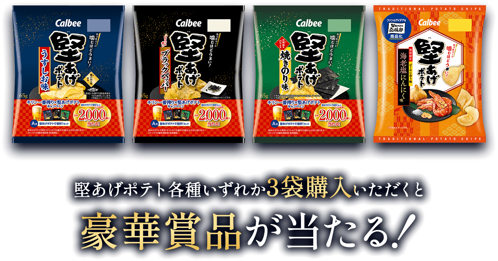 堅あげポテト各種いずれか3袋購入いただくと豪華賞品が当たる！