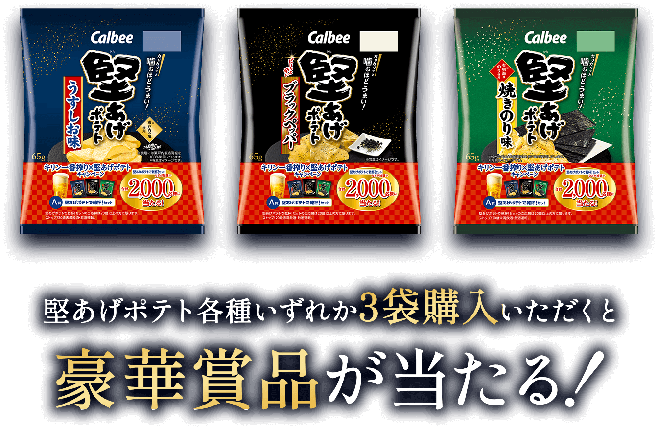 堅あげポテト各種いずれか3袋購入いただくと豪華賞品が当たる！