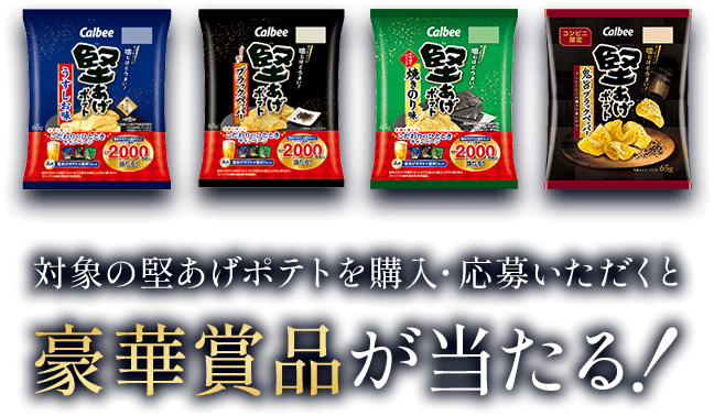 対象の堅あげポテトを購入・応募いただくと豪華賞品が当たる！