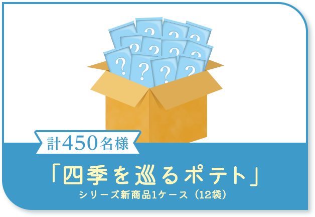 B賞2袋購入 計450名様 「四季を巡るポテト」シリーズ新商品1ケース（12袋）