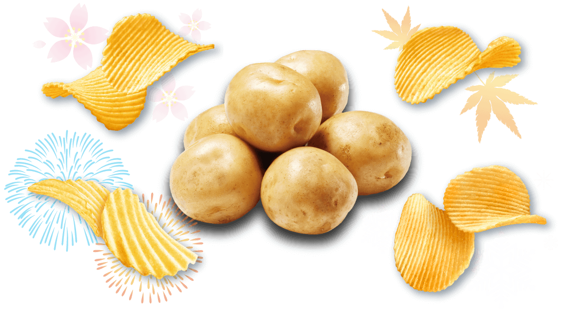 春夏秋冬、季節のうつろいに合わせ、その季節に食べたくなるポテトチップスを追求しました。