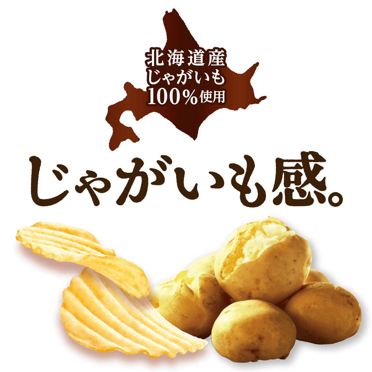 北海道産じゃがいも100%使用 じゃがいも感。