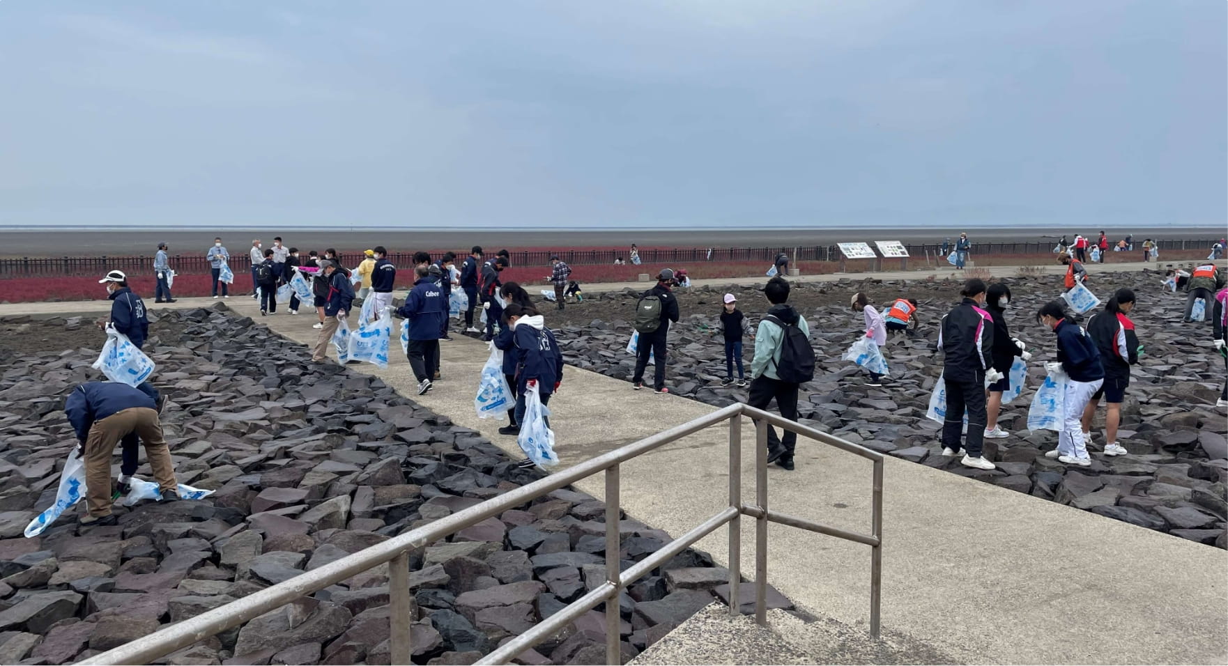 海辺の清掃をお手伝いしている写真