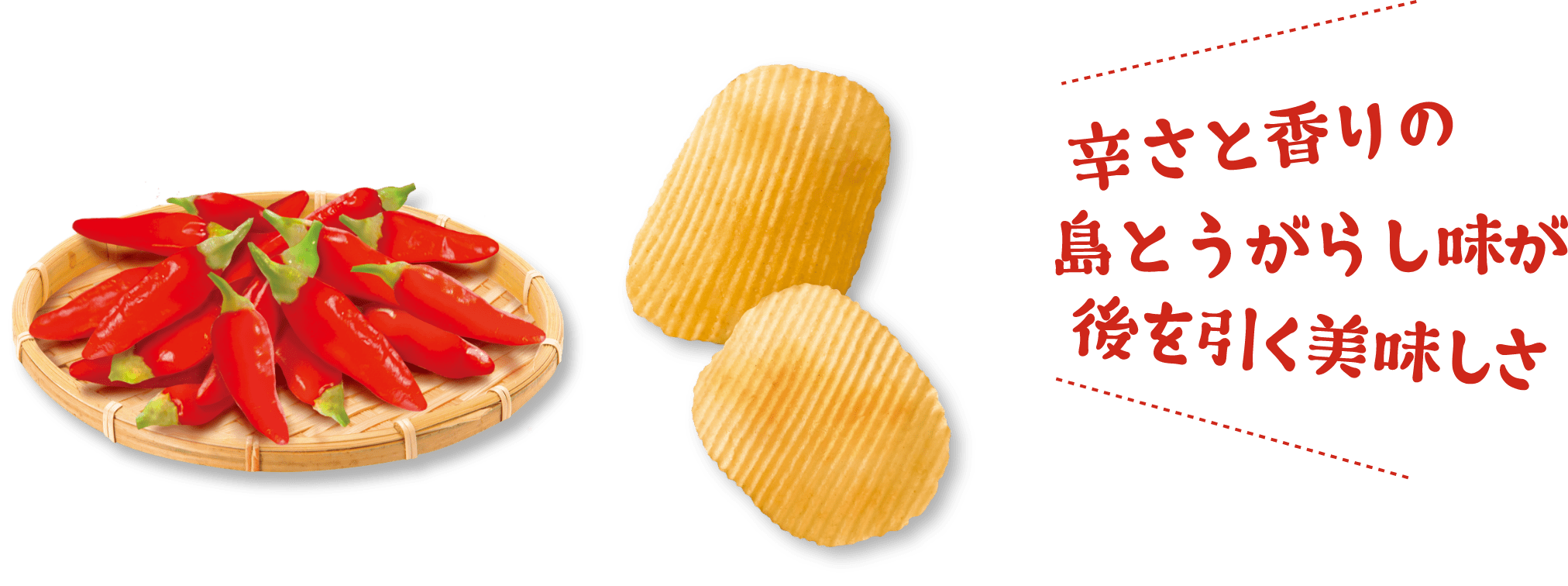 キレの良い塩味 あごの上品な風味