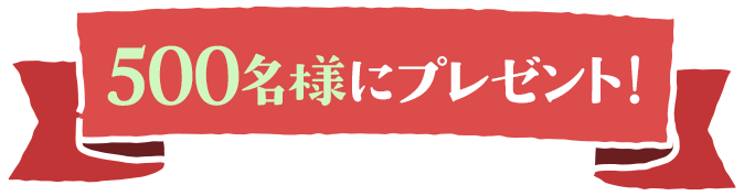 500名様にプレゼント！