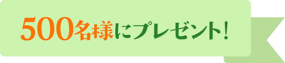 500名様にプレゼント！