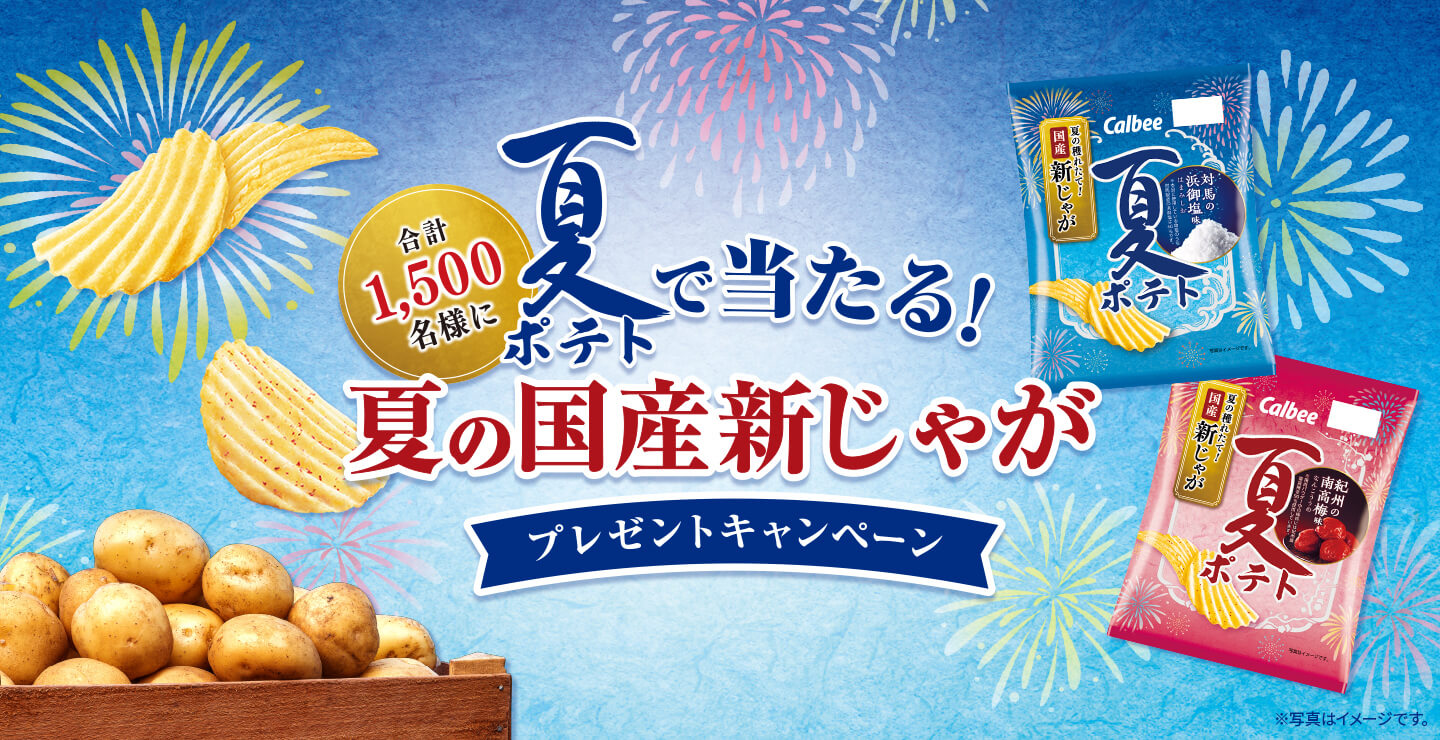 合計1,500名様に 夏ポテトで当たる！夏の国産新じゃがプレゼントキャンペーン ※写真はイメージです。