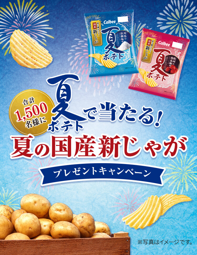 合計1,500名様に 夏ポテトで当たる！夏の国産新じゃがプレゼントキャンペーン ※写真はイメージです。
