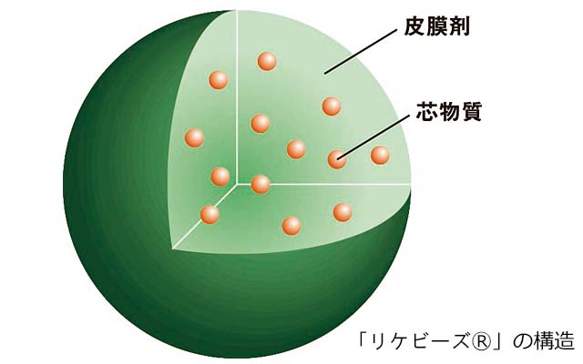 リケビーズの構造