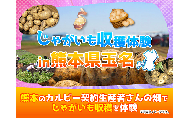 じゃがいも収穫体験in熊本県玉名