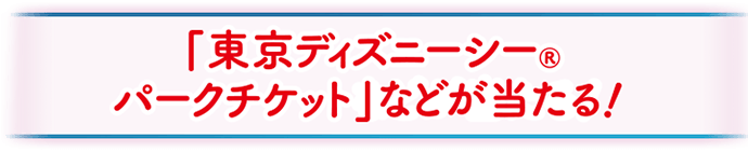 「東京ディズニーシー®️パークチケット」などが当たる！