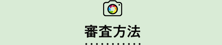 審査方法